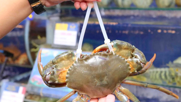 Crab exports to China increase twelvefold